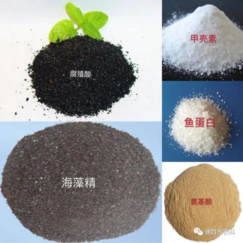 �_�֣���ֳ�������������ך������~(y��)���ס����������������ò�һ����������