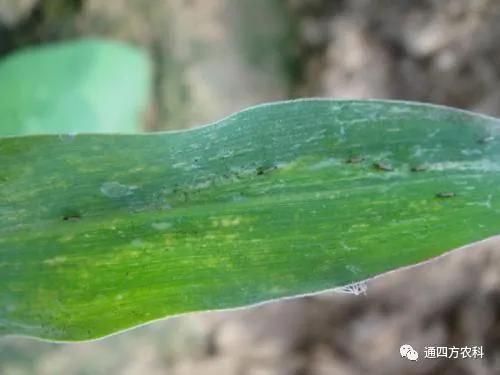 ���הQ����ô�k����ץ�o��Q��(hu��)Ӱ푮a(ch��n)��!!!